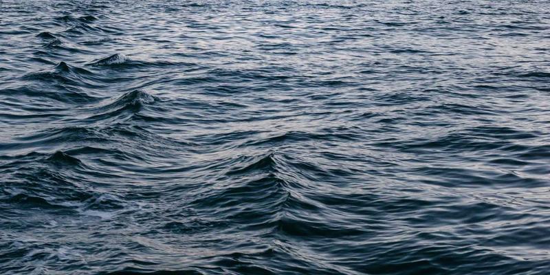 从像素到归属：'认领这只鸟'如何以艺术创意重塑数字内容的稀缺性认知