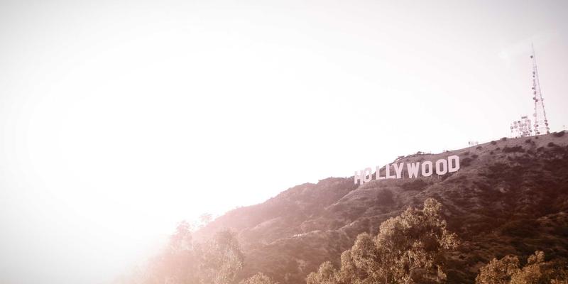 从媒介情境理论看‘认领这只鸟’：趣味分享如何重塑艺术与自然的社交仪式