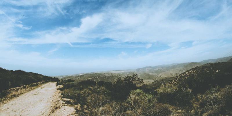 从认领这只鸟看Z世代情感消费：艺术衍生品如何用趣味分享撬动鸟类文化热潮