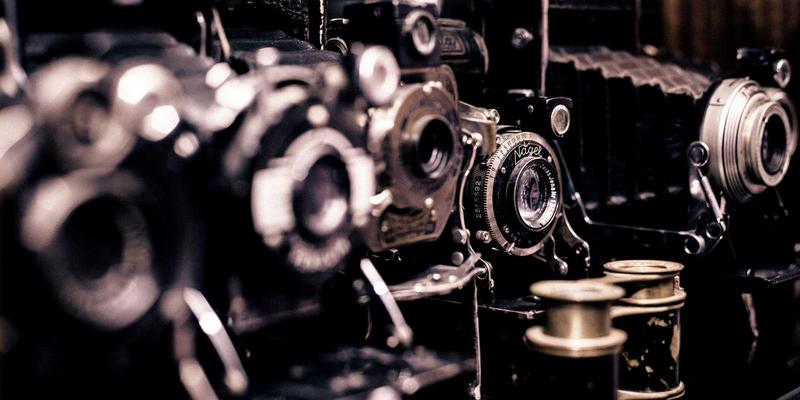 从‘认领这只鸟’看城市IP打造：数字时代如何用创意内容激发生活灵感