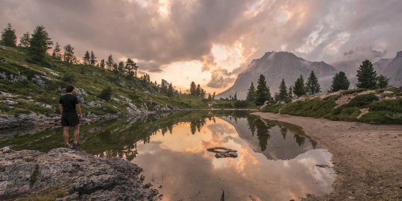 从‘认领这只鸟’看开源艺术：鸟类创意内容的趣味分享如何重塑数字版权观念