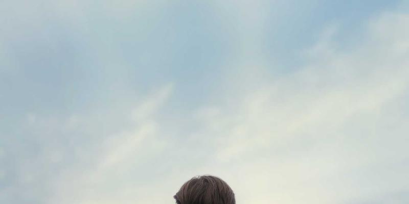 从‘认领这只鸟’看趣味分享的共创生态：创意内容如何激发生活灵感与界定版权边界