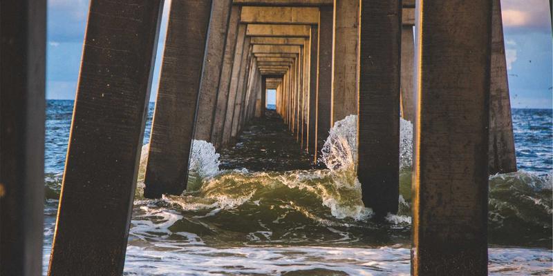 孟菲斯风格与生活灵感：从‘认领这只鸟’看艺术互动如何激发愉悦感