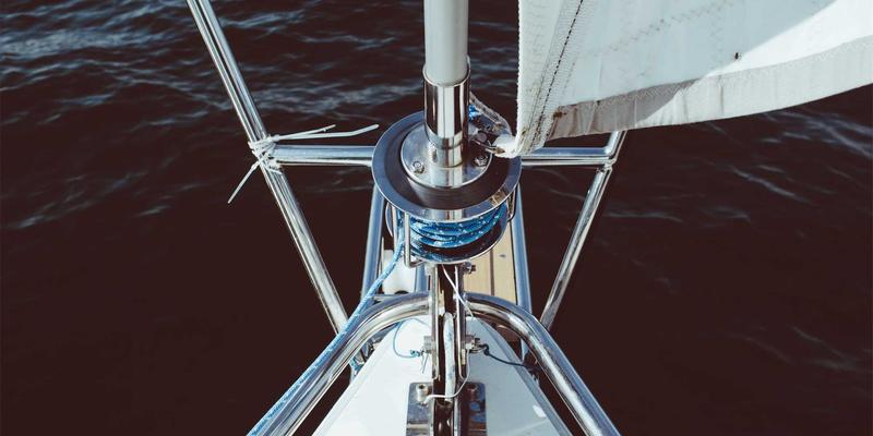 数字时代的羽翼：虚拟鸟类设计如何成为艺术与生活的情感载体