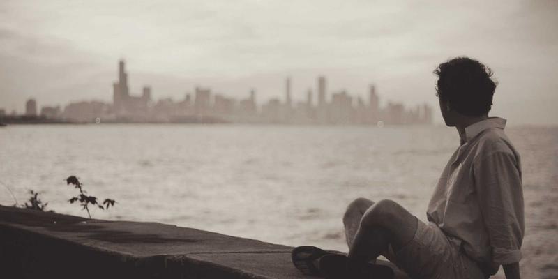 艺术与创意内容的趣味分享：揭秘'认领这只鸟'的轻互动设计策略