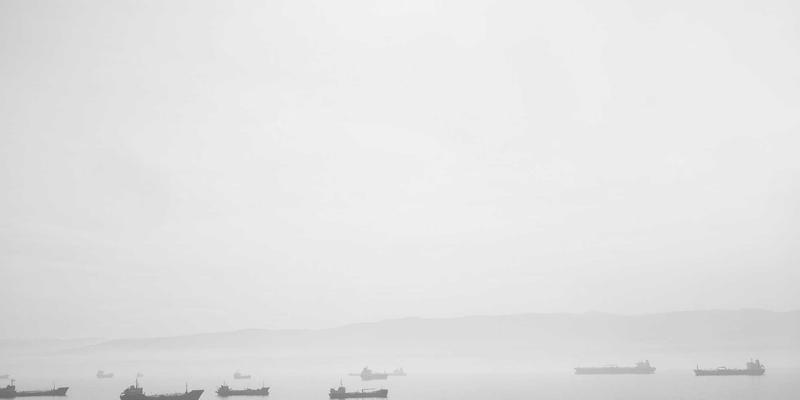 认领一只鸟的艺术：虚拟所有权如何成为现代人的心灵栖息地