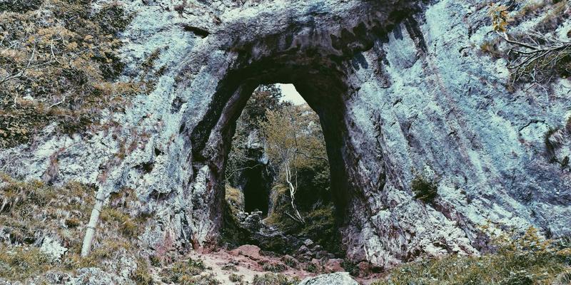认领这只鸟17：用孟菲斯风格点亮你的生活灵感