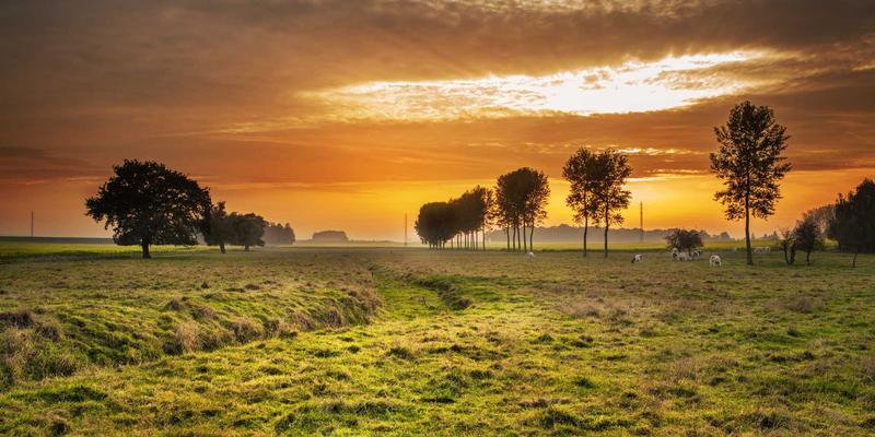 认领这只鸟43:在孟菲斯风格的趣味艺术中,找回生活的幽默感