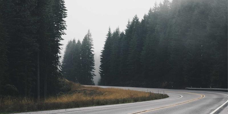 认领这只鸟44：当孟菲斯风格的艺术，撞上你的趣味分享欲