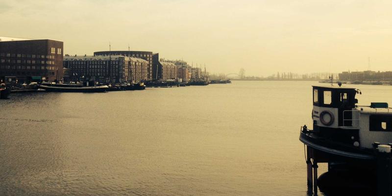 认领这只鸟47:当艺术成为人类与自然的诗意契约