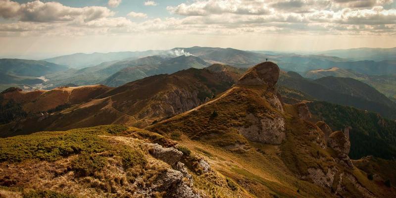 认领这只鸟51：当孟菲斯风格与鸟类艺术碰撞的数字奇遇
