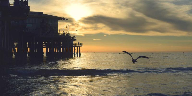 认领这只鸟55：当孟菲斯风格飞入日常，唤醒你的生活灵感