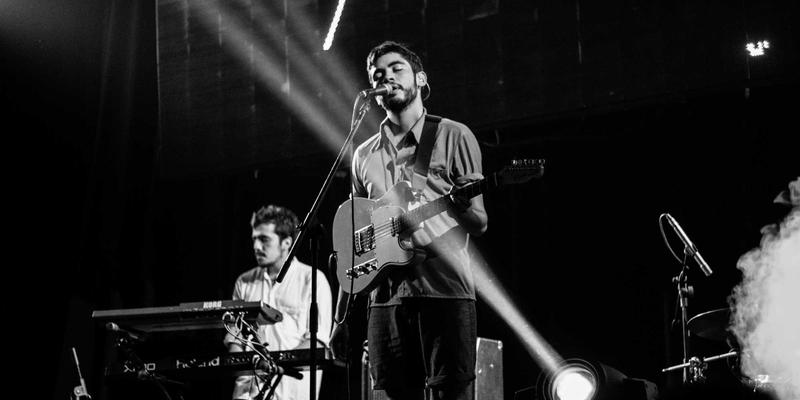 认领这只鸟71:创意内容如何唤醒你的生活灵感