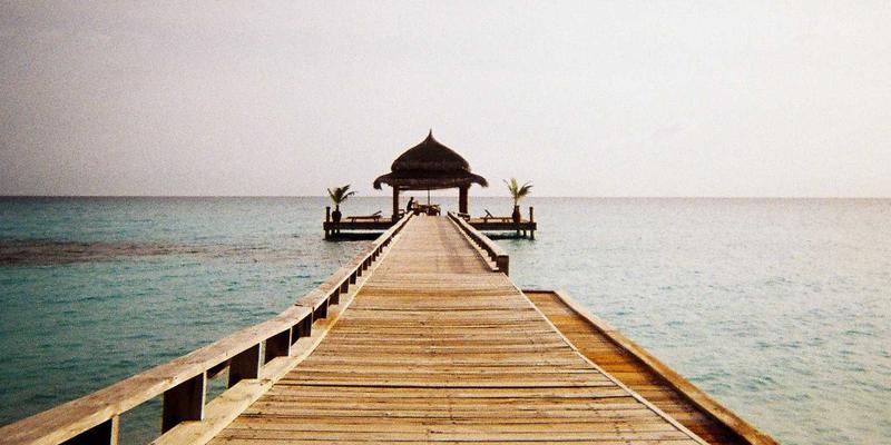 认领这只鸟73：当生活灵感与创意内容在鸟类观察中相遇