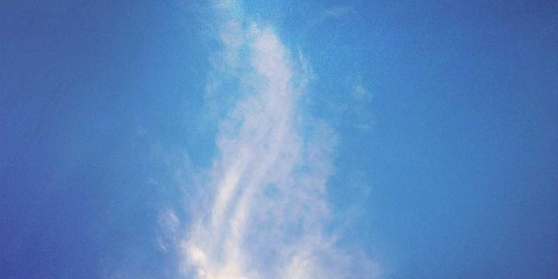 认领这只鸟81：当孟菲斯风格遇上趣味分享，解锁设计新浪潮