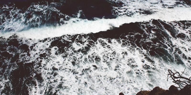 认领这只鸟8:当趣味分享遇见创意内容,解锁社交传播新玩法