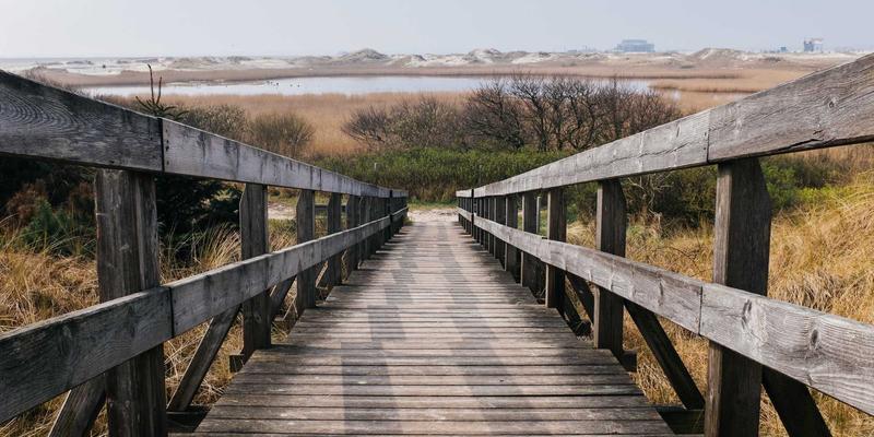 认领这只鸟91：用孟菲斯风格点亮日常，解锁趣味生活灵感