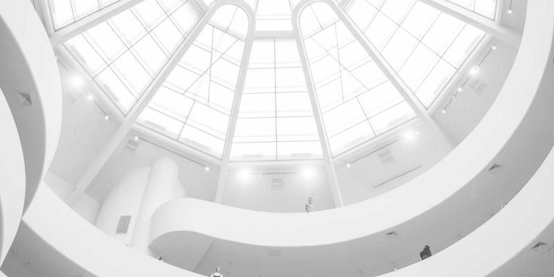 认领这只鸟92：当创意内容与鸟类保护碰撞出的数字火花