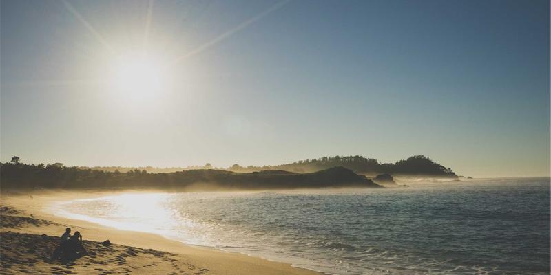 认领这只鸟：一场创意内容如何唤醒生活灵感与艺术感知