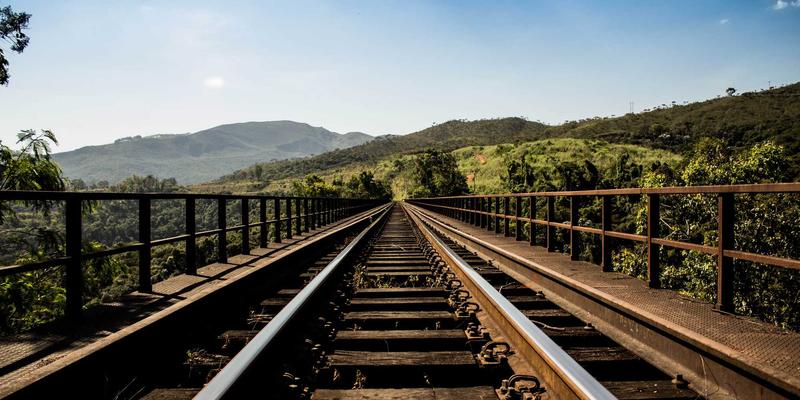 认领这只鸟：从趣味分享到社区文化共建的创意实践