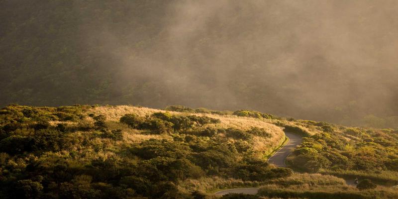 认领这只鸟：孟菲斯艺术中的鸟类图腾及其深刻文化象征