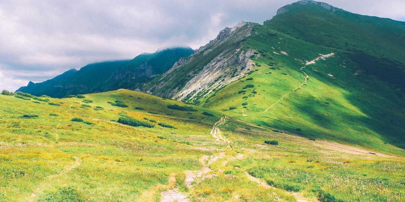 认领这只鸟：孟菲斯风格下的非功利参与，如何温柔反击注意力经济