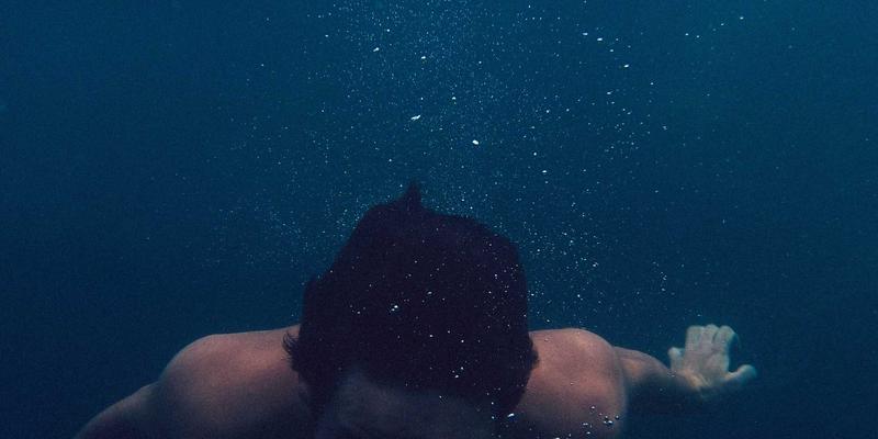 认领这只鸟：当创意内容与鸟类趣味分享遇见无障碍设计