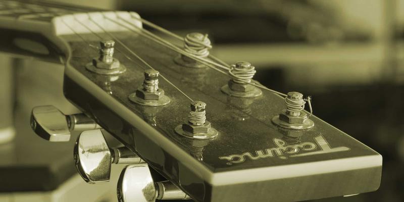 认领这只鸟：当艺术与趣味分享成为生态保护的创新桥梁