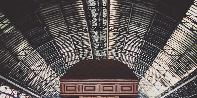 认领这只鸟：当艺术飞入创意内容的新蓝海