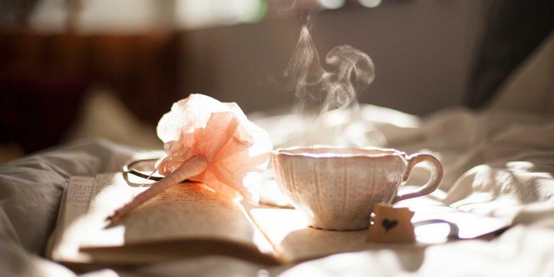 认领这只鸟怎么用？解锁孟菲斯风格创意内容新玩法