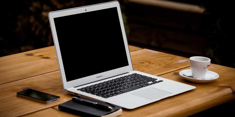 认领这只鸟：数字艺术如何为地方创生插上翅膀，激活生态旅游新动能