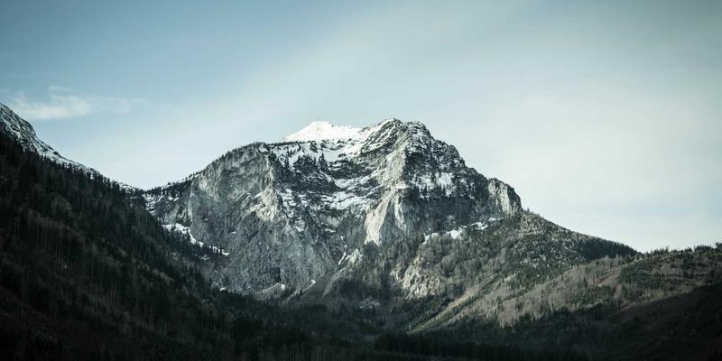 认领这只鸟的传播学解码：一个网络迷因如何点燃全民生活灵感