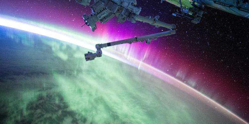 认领这只鸟的全球奇遇：孟菲斯风格艺术符号的跨文化解读差异