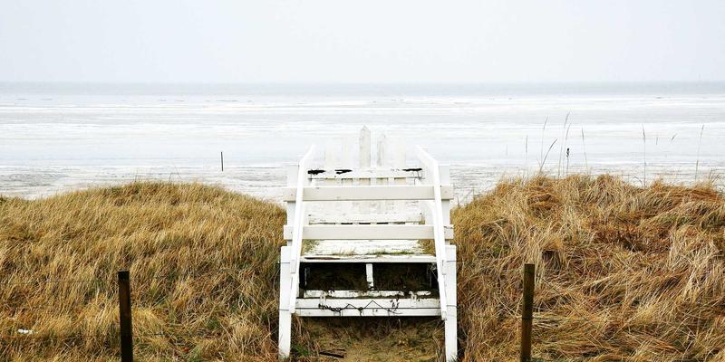 认领这只鸟的版权与二次创作边界：从孟菲斯风格看网络迷因的艺术灵感与法律伦理