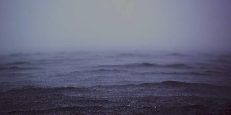 认领这只鸟背后的色彩心理学：高饱和度色调如何引爆情绪与分享欲