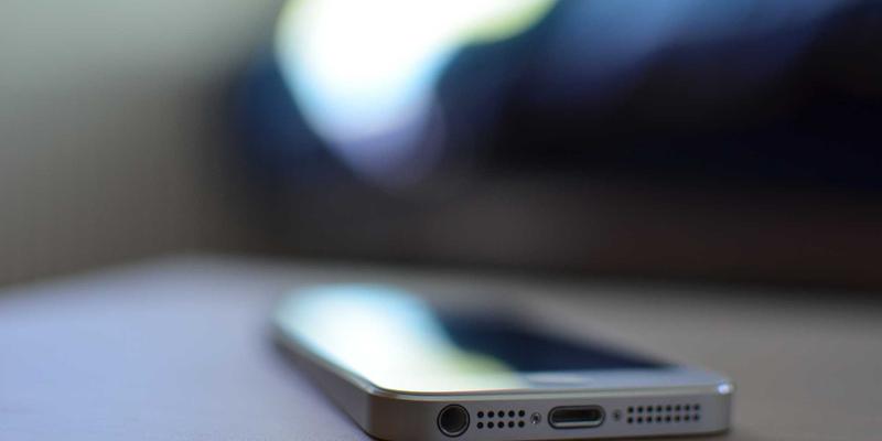 认领这只鸟：趣味分享背后的跨文化传播密码，为何抽象鸟类艺术能突破语言壁垒