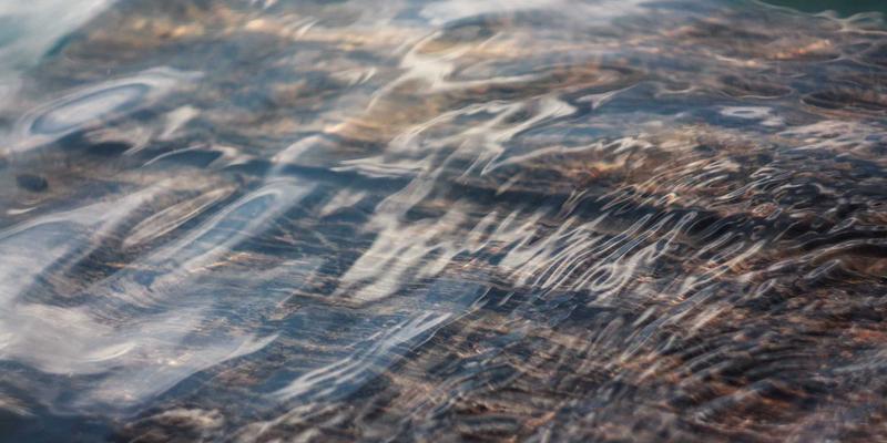 趣味分享：认领这只鸟如何激发儿童创造力与色彩认知